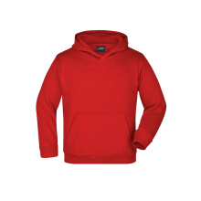 Hooded Sweat Junior - Topgiving