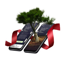 100% duurzaam - Geef een boom cadeau - Topgiving