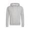 Stedman Sweater Hooded for him - Topgiving