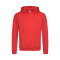 Stedman Sweater Hooded for him - Topgiving