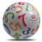 Voetbal van PVC: maat 5 - 360 gram - Topgiving