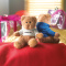 Teddybeer met sweatshirt - Topgiving